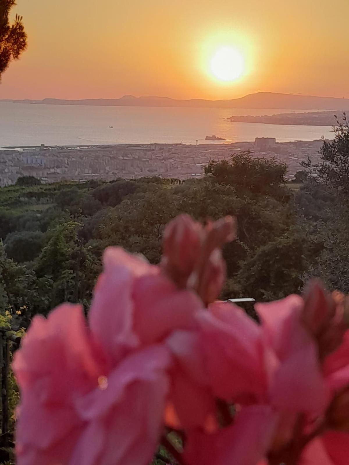La Vigna Del Vento Bed & Breakfast Casola di Napoli Eksteriør bilde