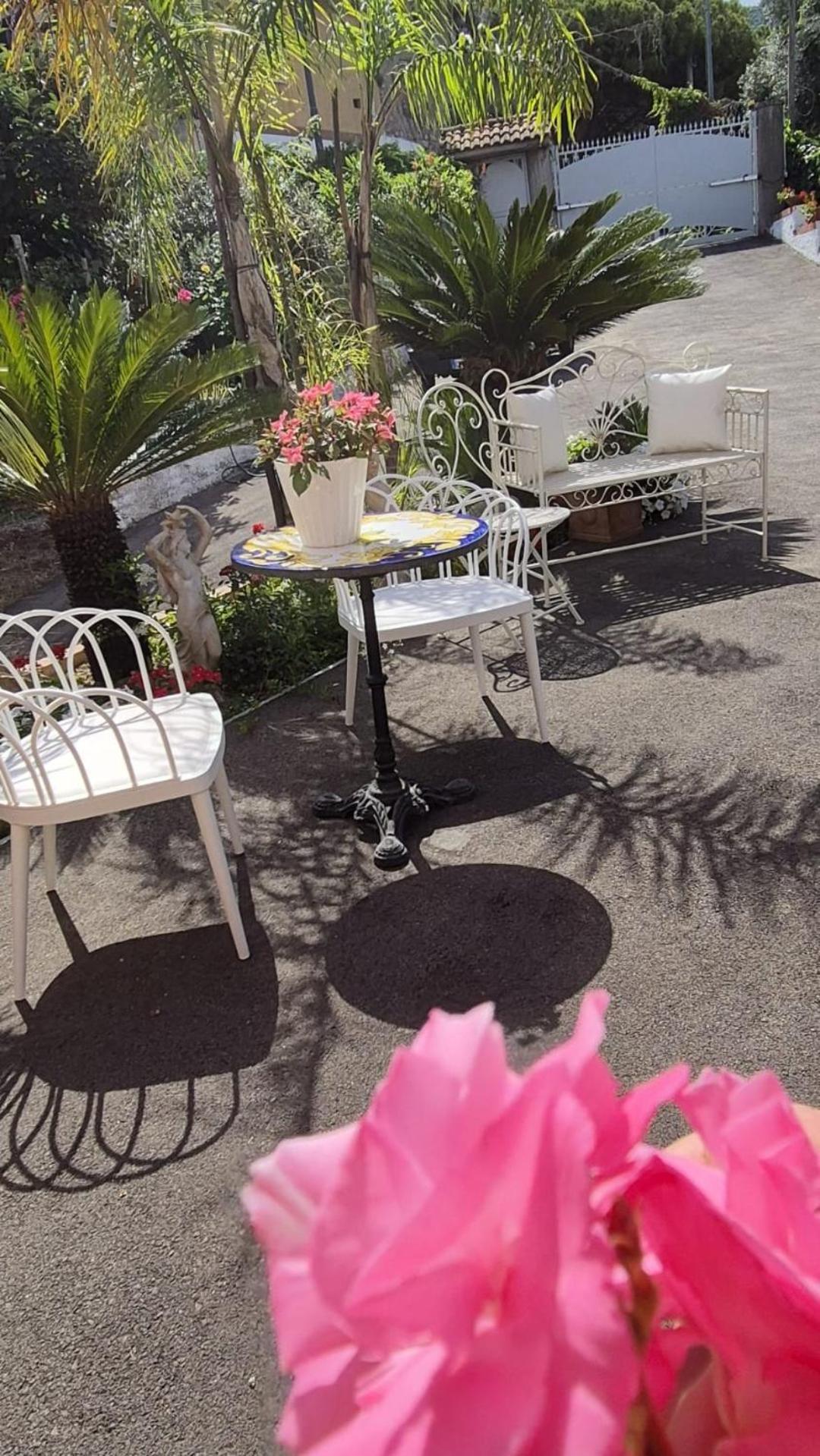 La Vigna Del Vento Bed & Breakfast Casola di Napoli Eksteriør bilde